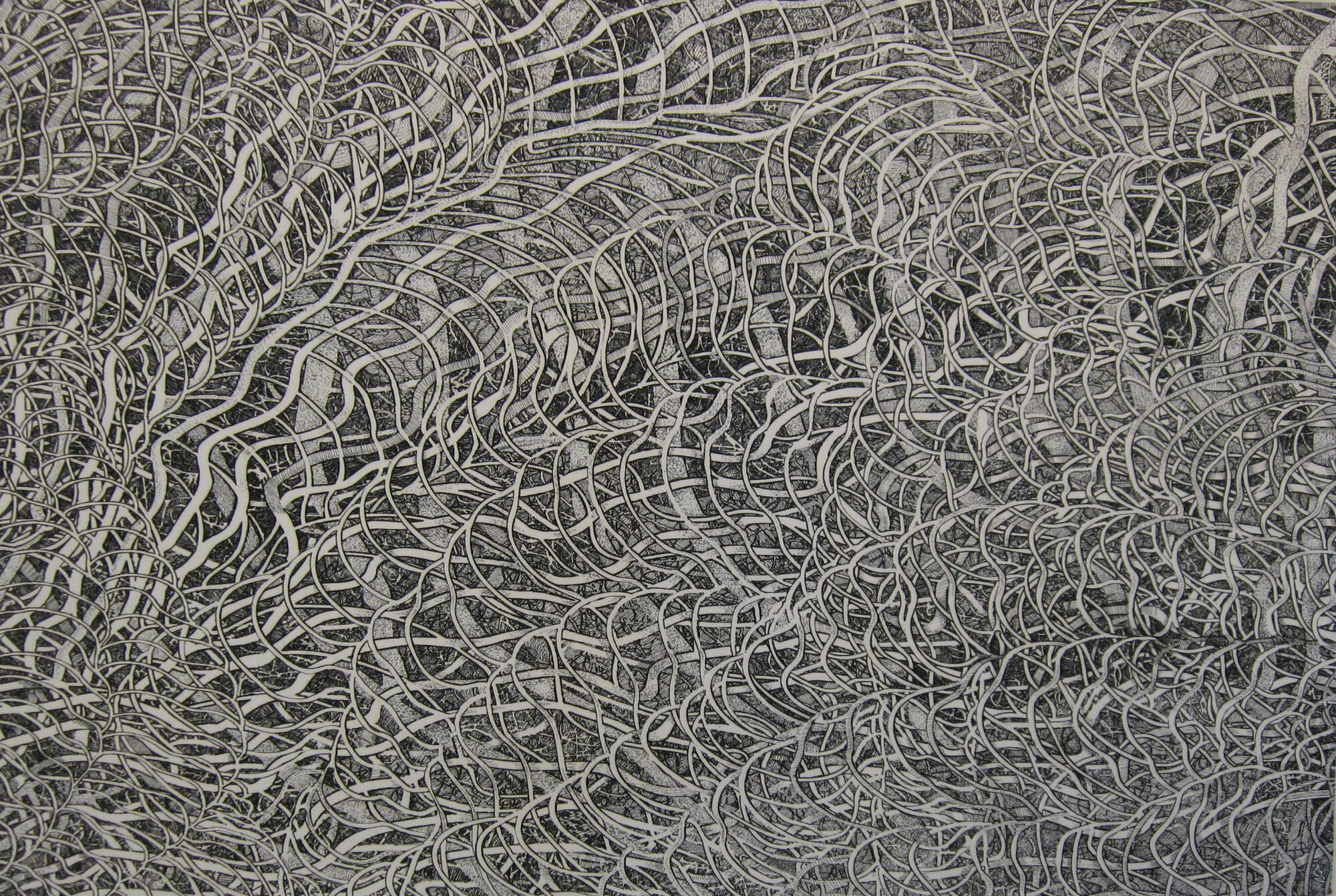 Print of very detailed, organize looking vines or veins.